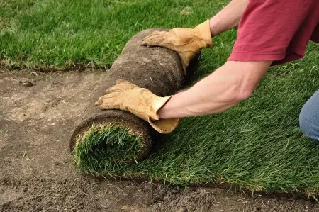 Professional Sod Installation in Oregon City OR